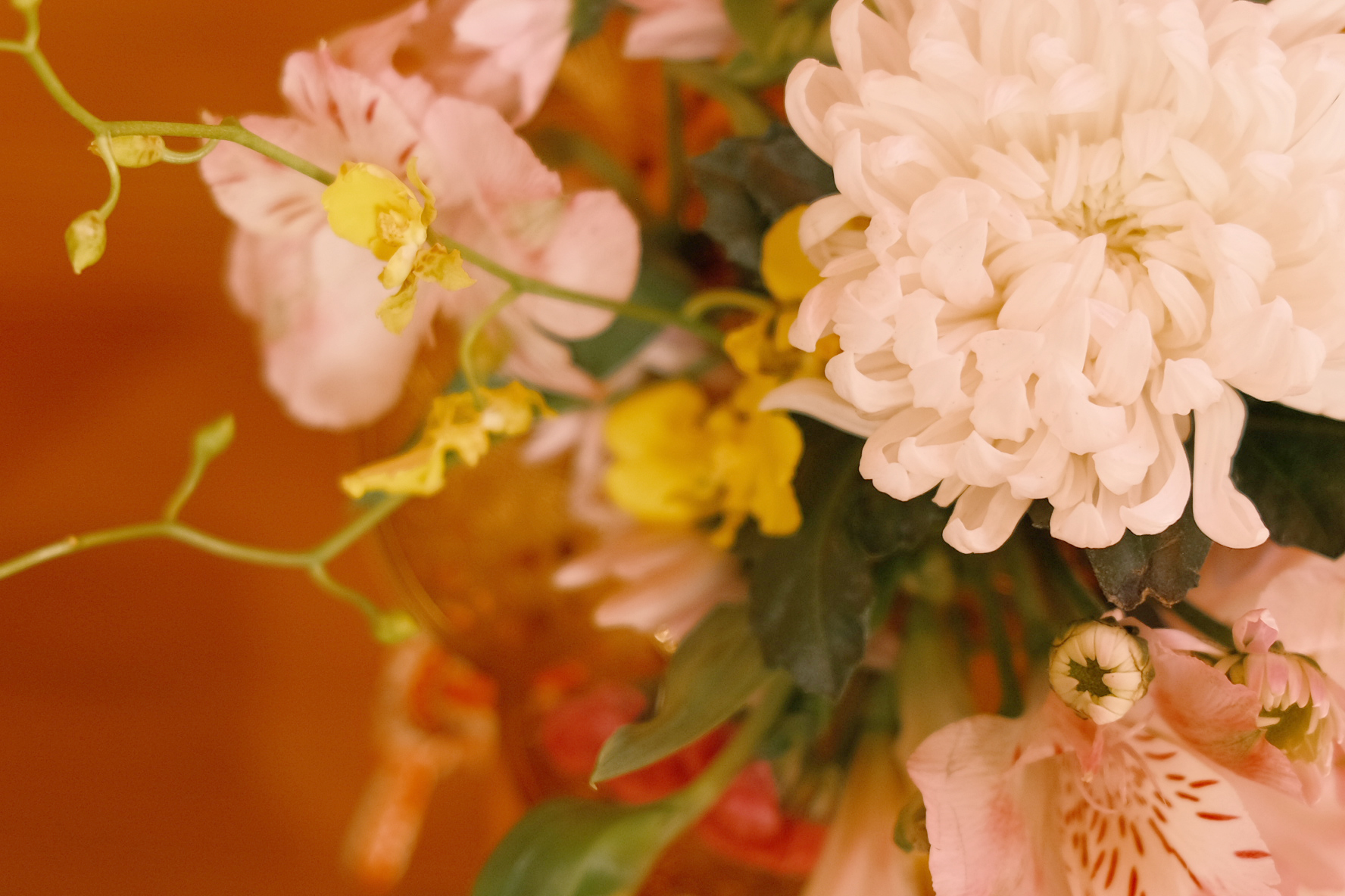 84D2832B-389E-4C78-B90D-B14B808776A7-59031-00002876A29E3C48